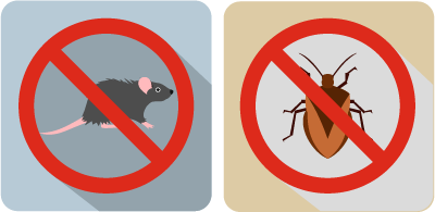 élimination insectes